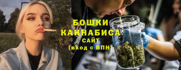 Альфа ПВП Лагань