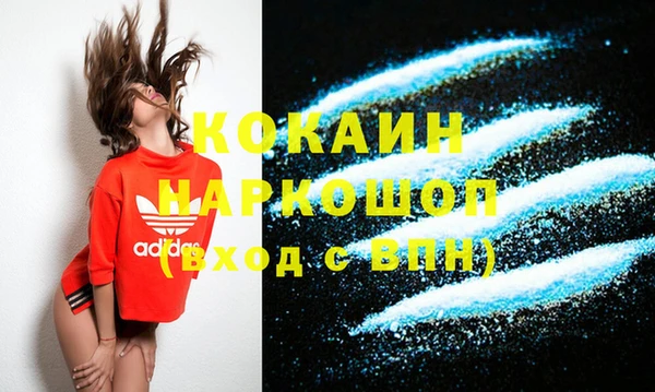 Альфа ПВП Лагань